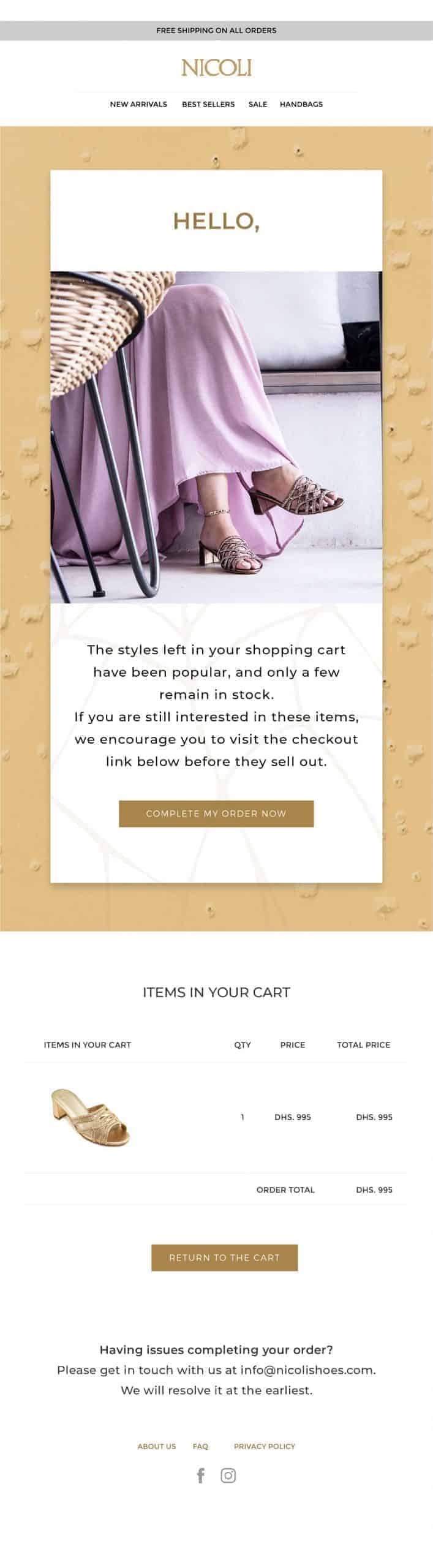 NicoliAbandonCart2